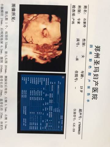 journal_insert_pic_738751239