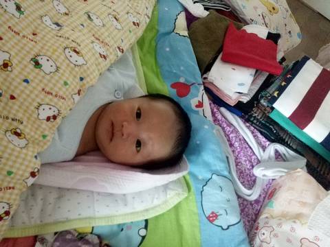 journal_insert_pic_739021415