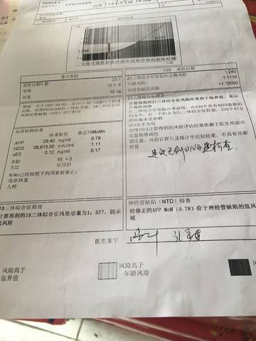 journal_insert_pic_739217237