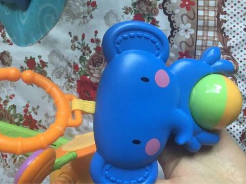 journal_insert_pic_739360617