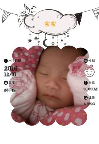 journal_insert_pic_739255651
