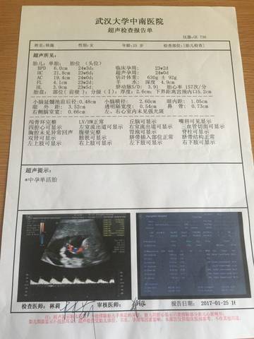 journal_insert_pic_739969215