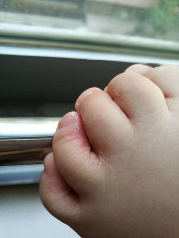 journal_insert_pic_740134268
