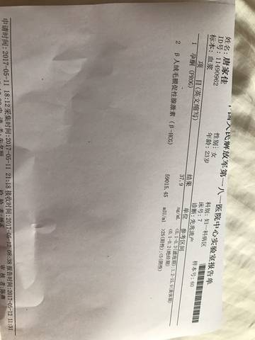 journal_insert_pic_740190072