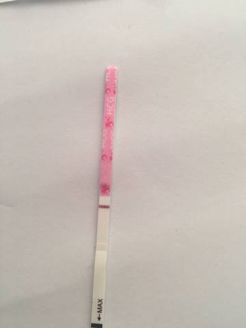journal_insert_pic_740037231