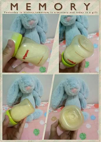journal_insert_pic_739783452