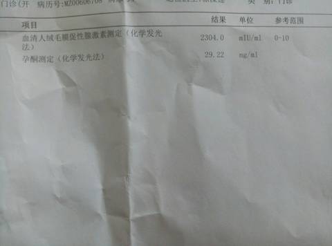 journal_insert_pic_740148696