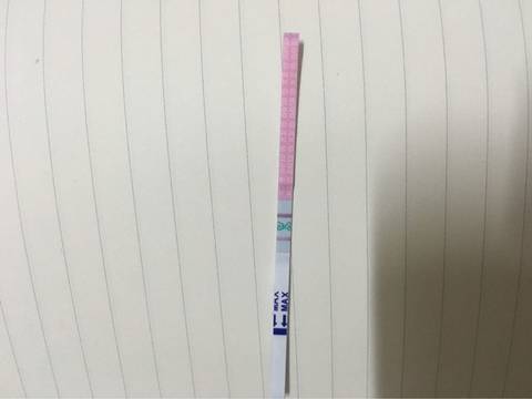 journal_insert_pic_740378448