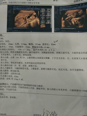 journal_insert_pic_740284797