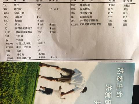 journal_insert_pic_739948726