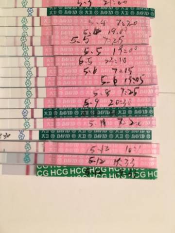journal_insert_pic_740231167