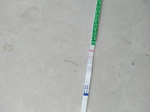 journal_insert_pic_740552337