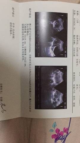 journal_insert_pic_741768893