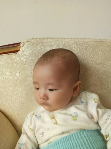 journal_insert_pic_741278681
