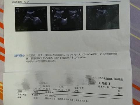 journal_insert_pic_742638492