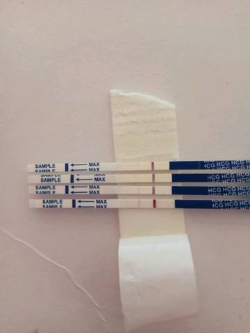 journal_insert_pic_743132322