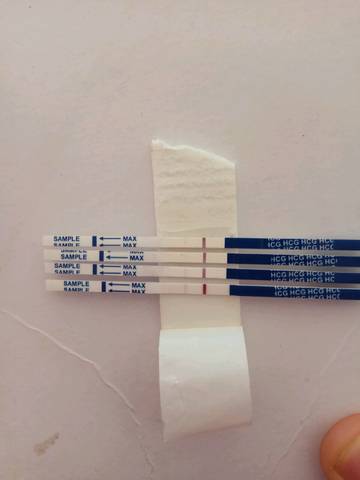 journal_insert_pic_743132316
