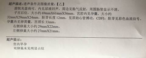 journal_insert_pic_743114559