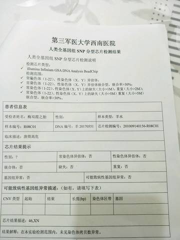 journal_insert_pic_744262318