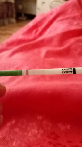 journal_insert_pic_743927237