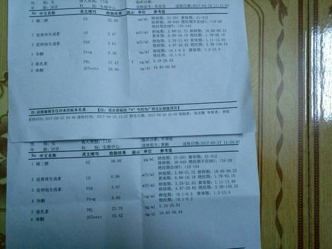 journal_insert_pic_744185395