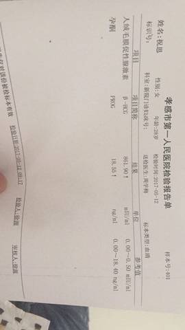 journal_insert_pic_744029040