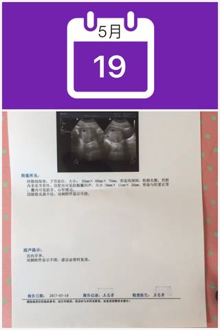 journal_insert_pic_745657616