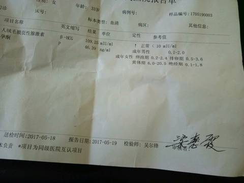 journal_insert_pic_745684464