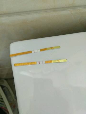 journal_insert_pic_745270842