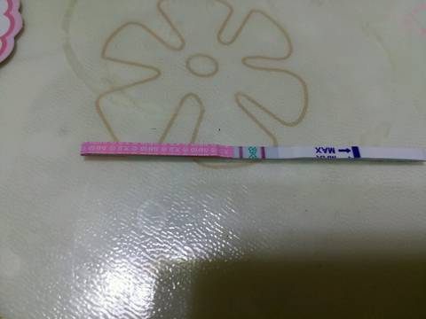 journal_insert_pic_746582022