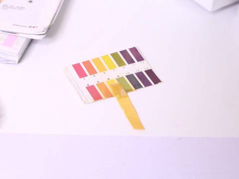journal_insert_pic_746293452