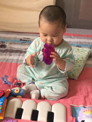 journal_insert_pic_746809257