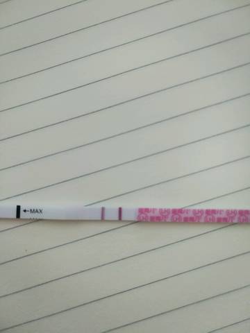 journal_insert_pic_747151330