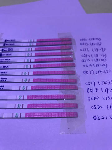 journal_insert_pic_747296263