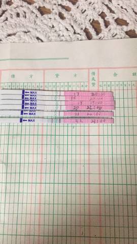 journal_insert_pic_748245341