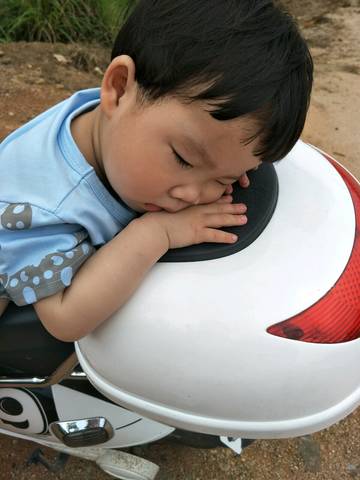 journal_insert_pic_749239106