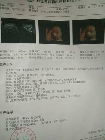 journal_insert_pic_748423160