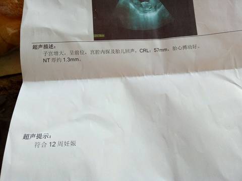 journal_insert_pic_748830018