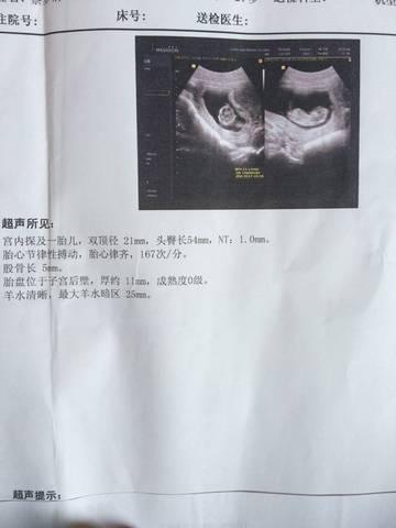 journal_insert_pic_749914050