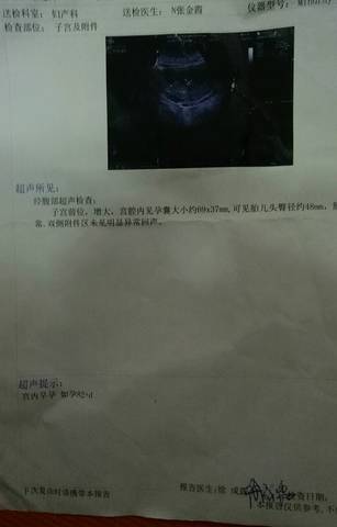 journal_insert_pic_749518898