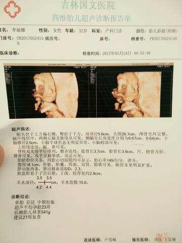 journal_insert_pic_749829726