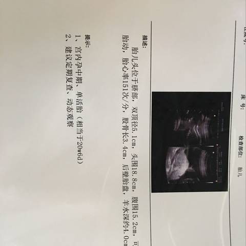 journal_insert_pic_749426257
