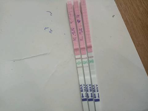 journal_insert_pic_750735206