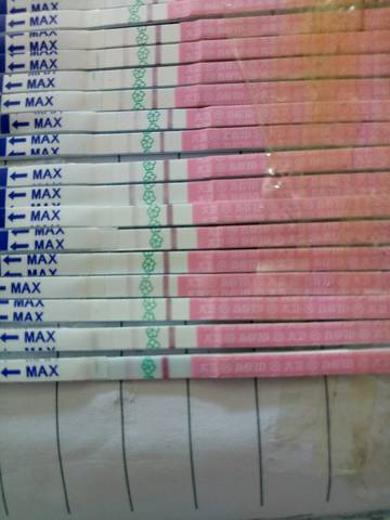 journal_insert_pic_751298412