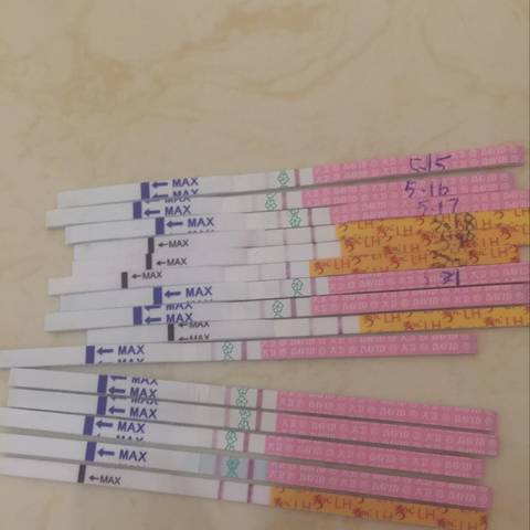 journal_insert_pic_752609429