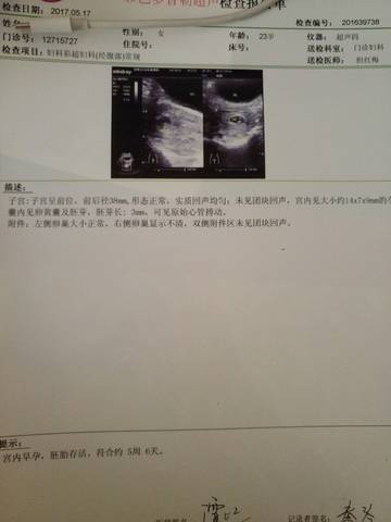 journal_insert_pic_752427256