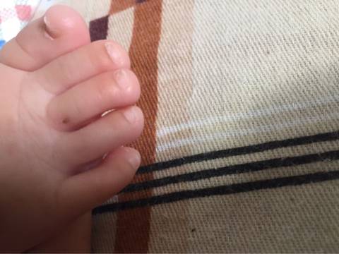 journal_insert_pic_752452050
