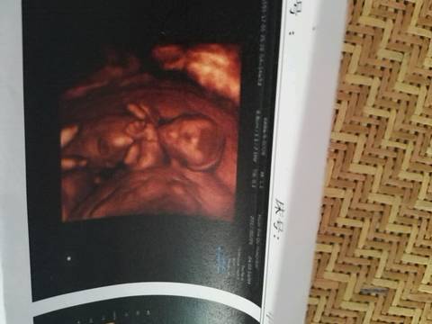 journal_insert_pic_752052363