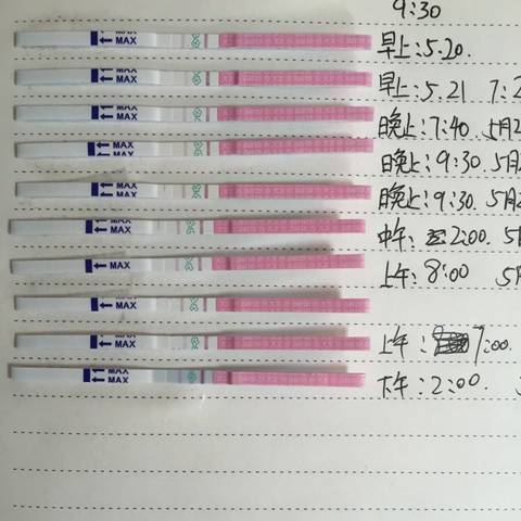 journal_insert_pic_753039489
