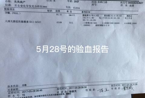 journal_insert_pic_753263967